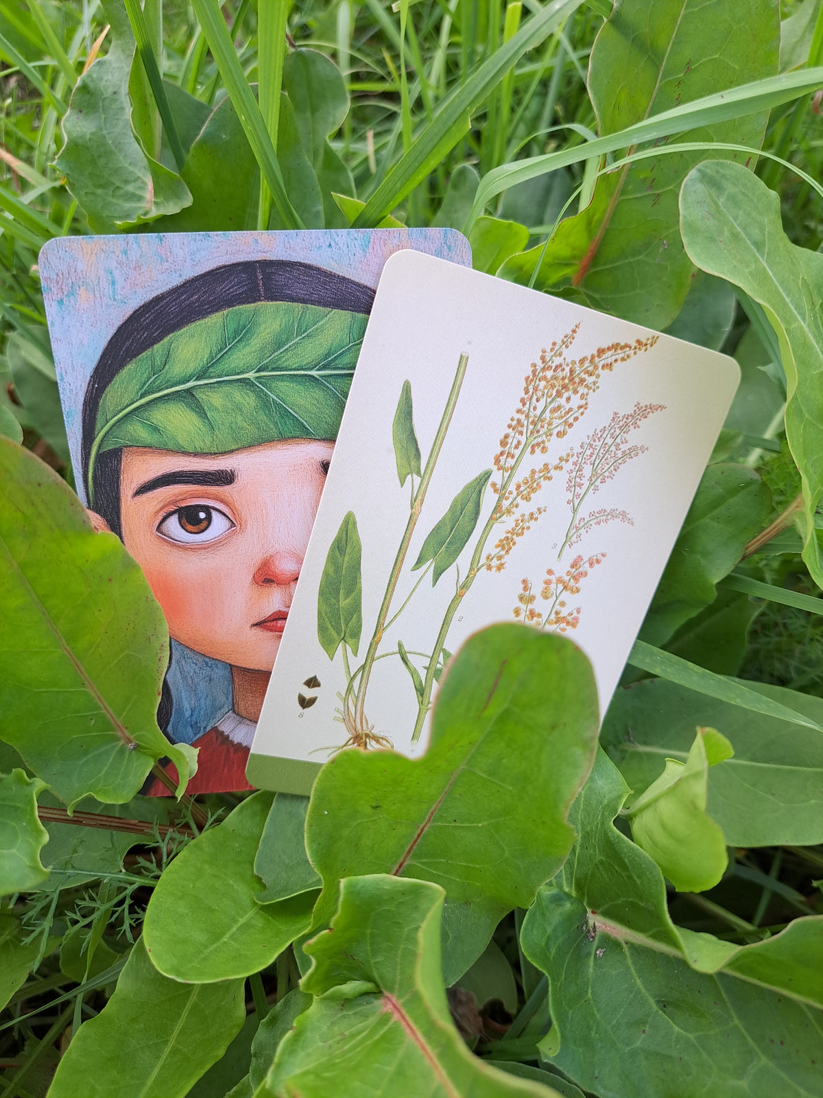 Plantasia